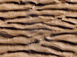 Texture Sand 